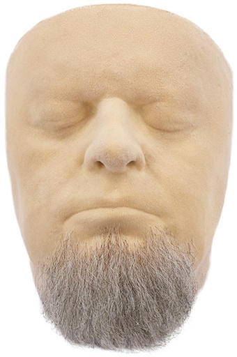 Human hair beard online